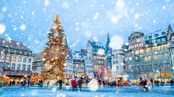 Le sapin de Noël, souverain en Alsace - Noël en Alsace