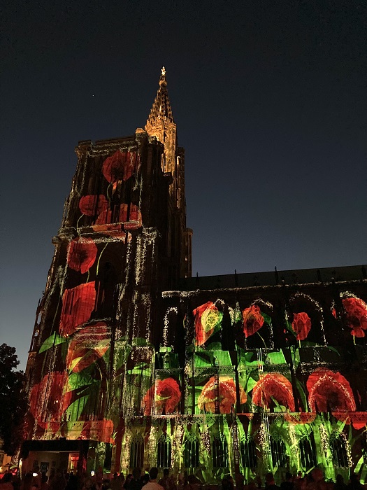 Illuminations merveilleuses La végétation s’empare de la cathédrale